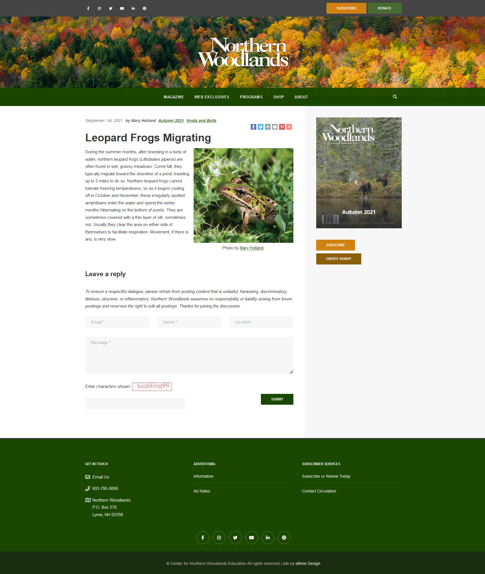 Article Layout - https://northernwoodlands.org &copy; by eBree Web Design