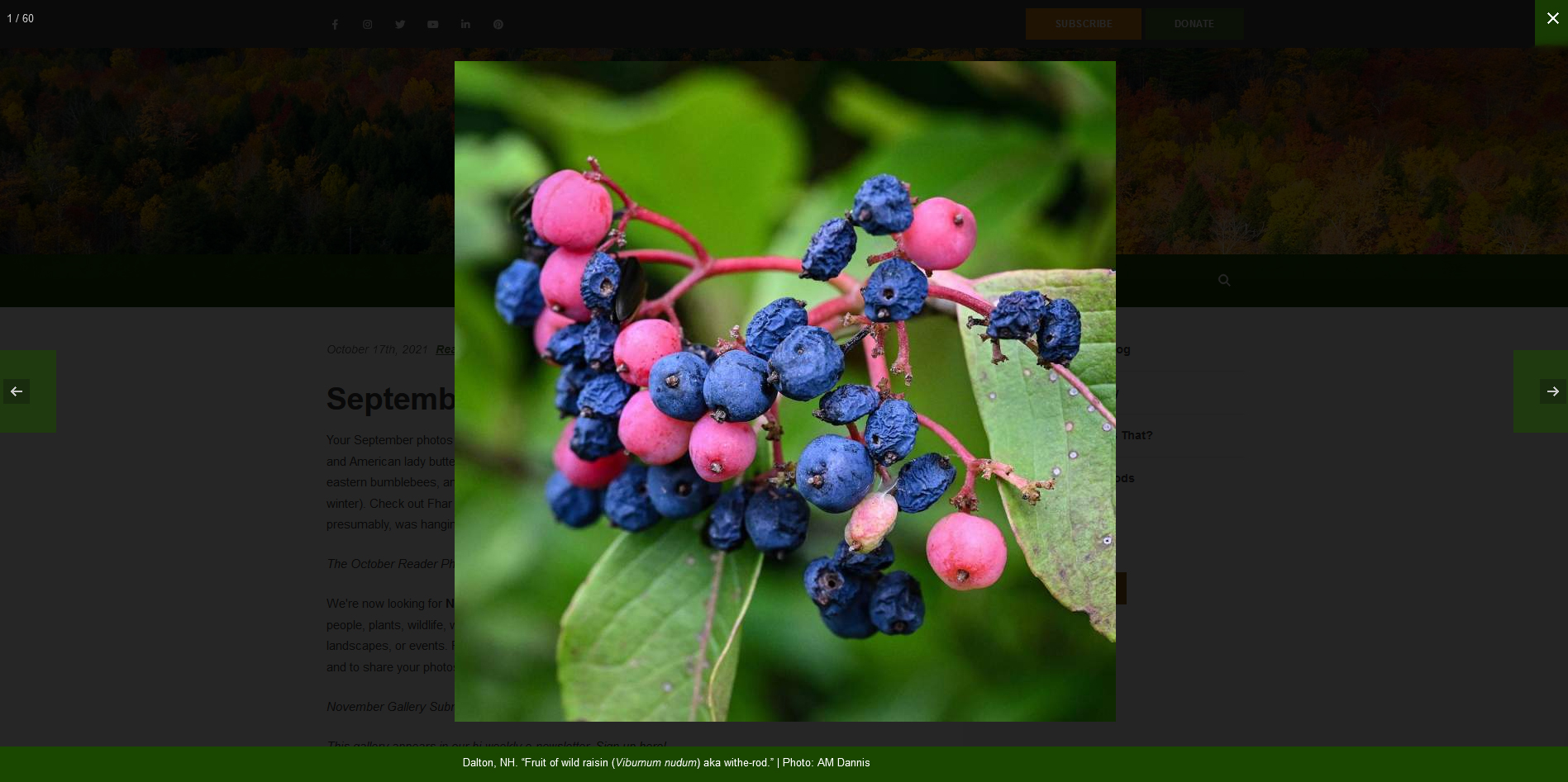 Full-screen photo gallery - https://northernwoodlands.org &copy; by eBree Web Design