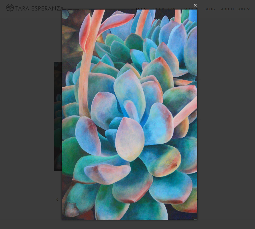 Artwork detail Zoom - https://taraesperanza.com &copy; by eBree Web Design
